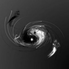 Cuciureanu Mariusvlad