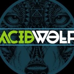 AcidWolf1337
