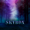 SKYBOX[]