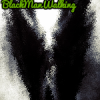 BlackStyle_Walk