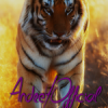 AndreY.Official