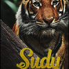 Sudy