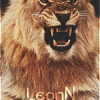 [Leon]